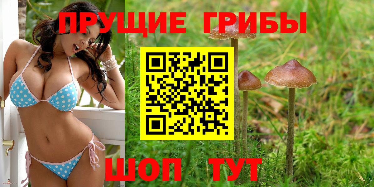 купить  цена  Псилоцибиновые грибы Magic Shrooms  Вход с VPN  Татарск 