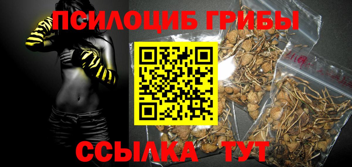 Галлюциногенные грибы GOLDEN TEACHER Татарск
